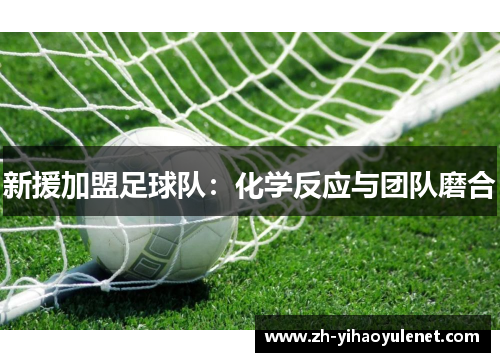 新援加盟足球队：化学反应与团队磨合
